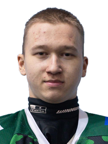 Хорохорин Александр Сергеевич